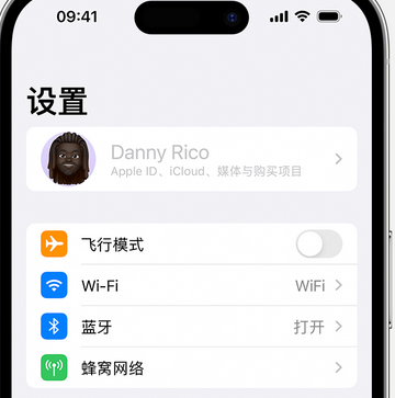 汨罗appleID维修服务iPhone设置中Apple ID显示为灰色无法使用 