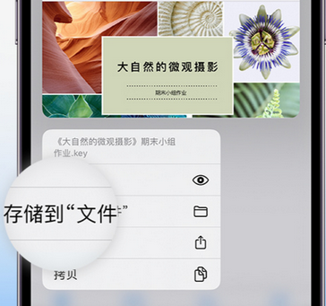 汨罗apple维修中心分享iPhone文件应用中存储和找到下载文件