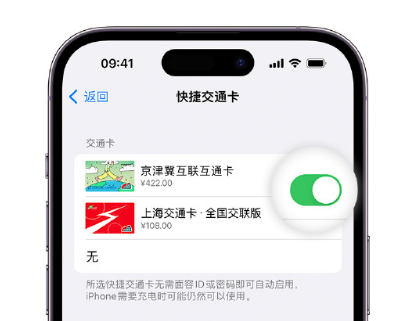 汨罗apple维修点分享iPhone上更换Apple Pay快捷交通卡手绘卡面 