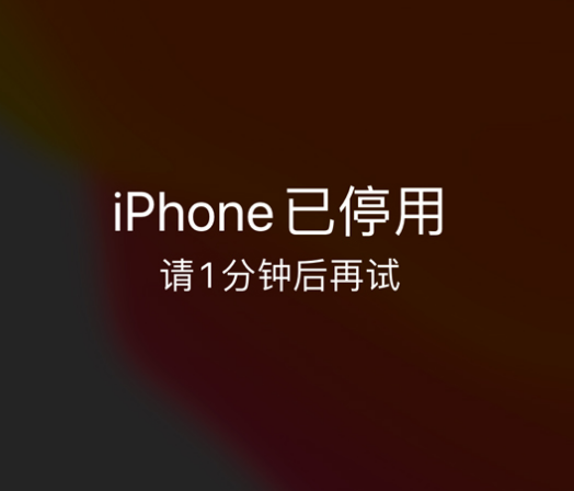 汨罗苹果手机维修分享:iPhone 显示“不可用”或“已停用”怎么办？还能保留数据吗？ 