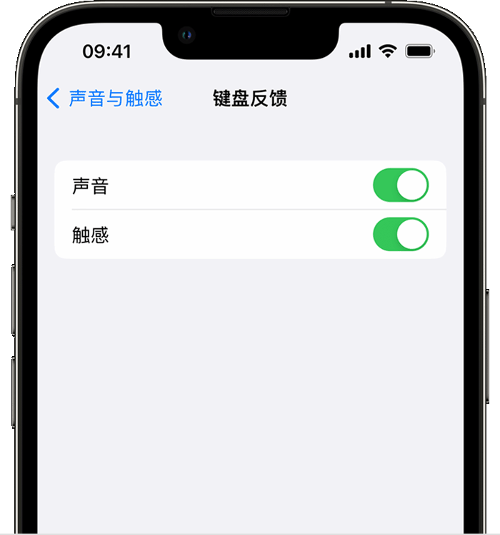 汨罗苹果14维修店分享如何在 iPhone 14 机型中使用触感键盘 