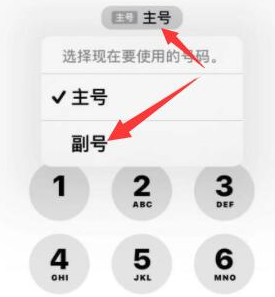 汨罗苹果14维修店分享iPhone 14 Pro Max使用副卡打电话的方法 