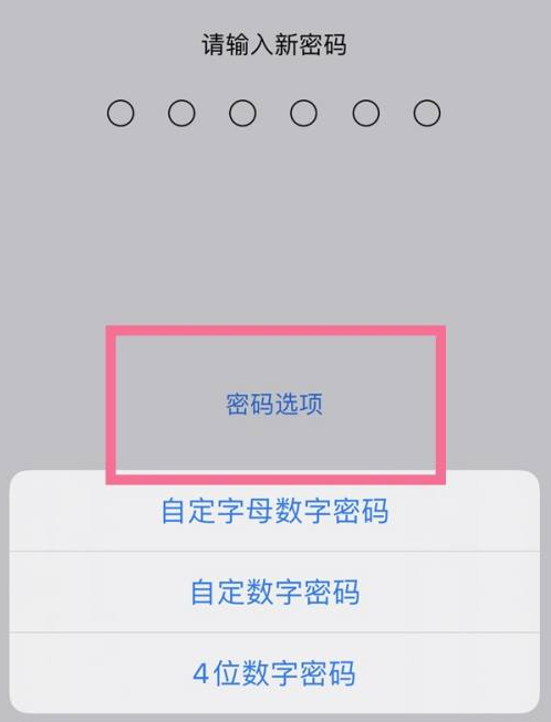 汨罗苹果14维修分享iPhone 14plus设置密码的方法 