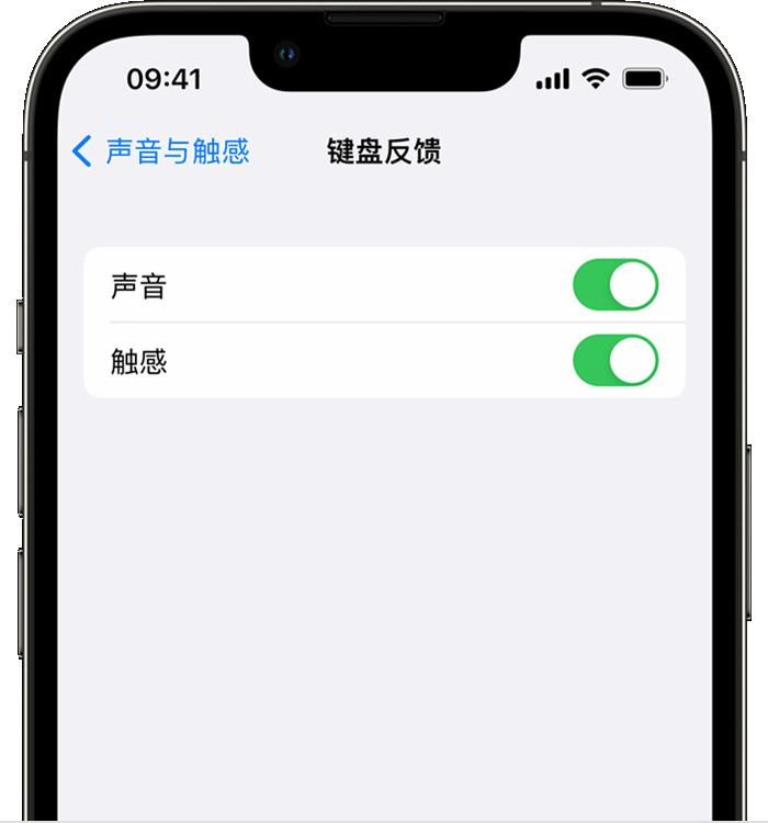 汨罗苹果14维修分享iPhone 14 系列机型如何开启键盘声音或触感反馈 