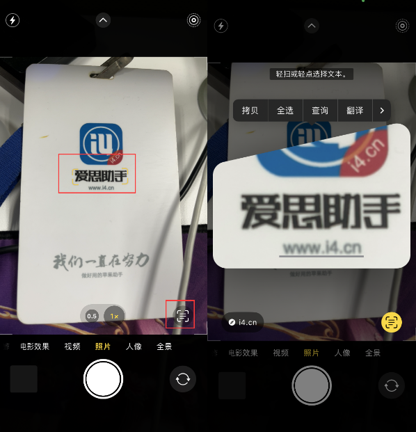汨罗苹果手机维修分享升级iOS 16后如何通过相机翻译文本 