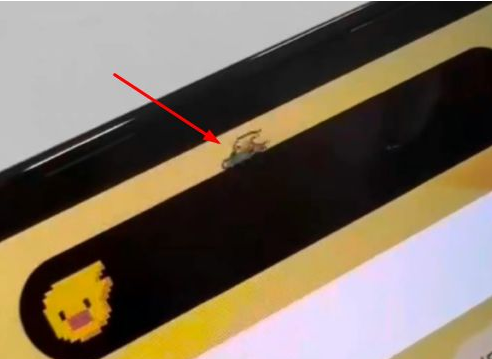 汨罗苹果14维修分享iPhone 14 Pro Max灵动岛怎么养宠物 