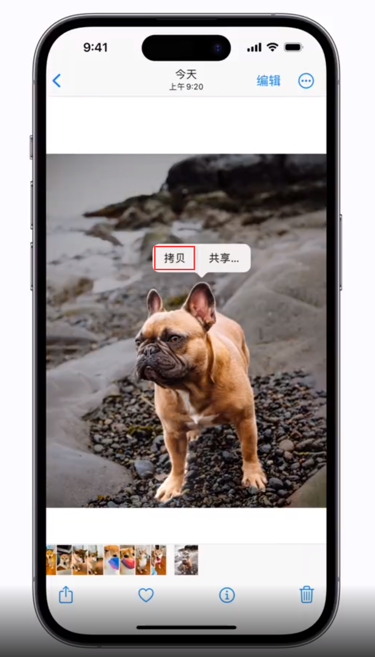 汨罗苹果手机维修分享 iOS 16 自带一键抠图功能 