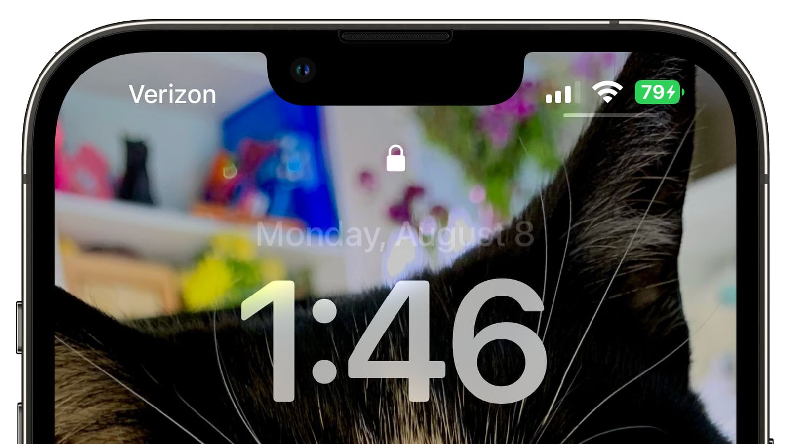 汨罗苹果手机维修分享iOS 16 beta 5 支持状态栏显示电池百分比，如何开启？支持哪些机型 