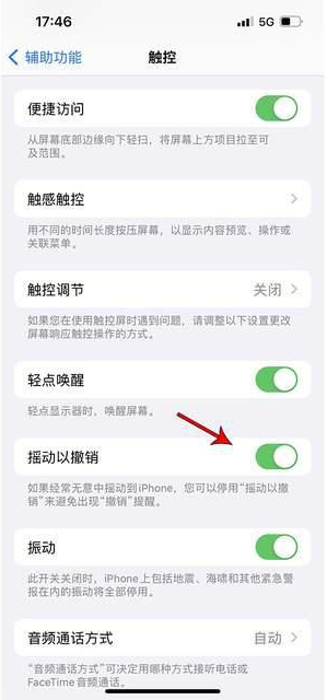 汨罗苹果手机维修分享iPhone手机如何设置摇一摇删除文字 