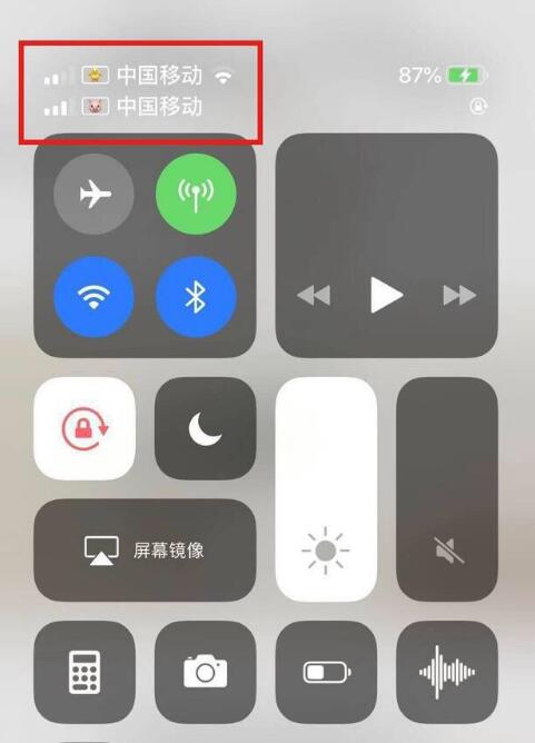 汨罗苹果手机维修分享为 iPhone 12 双卡设置标签 